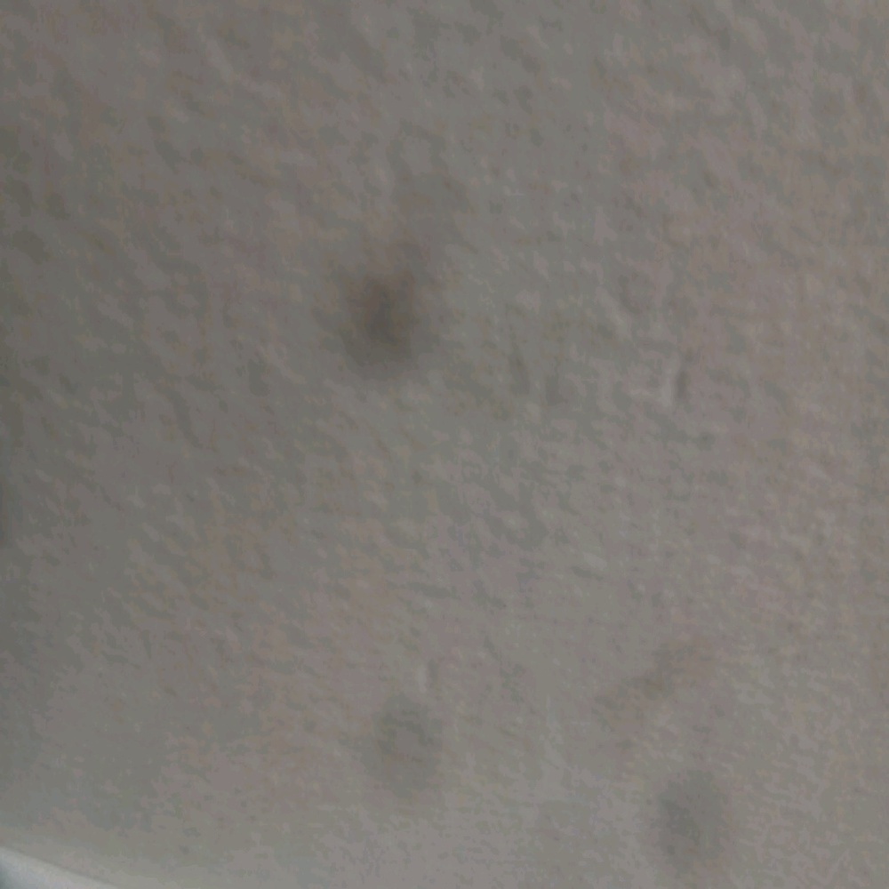 Meet your Posher, Hoven